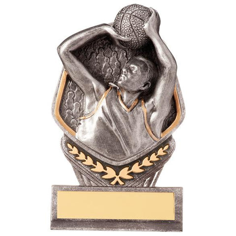 Falcon Basketball Award PA20075