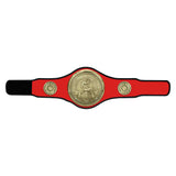 Champion Belt Judo/Jujitsu Award - Red - BT25483R
