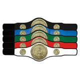 Champion Belt Judo/Jujitsu Award - Red - BT25483R