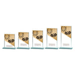 Mustang Pickleball Jade Glass Award -  CR25147