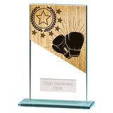 Mustang Boxing Jade Glass Award -  CR25254