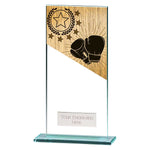 Mustang Boxing Jade Glass Award -  CR25254