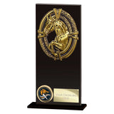 Maverick Hero Equestrian Glass Award - CR26575