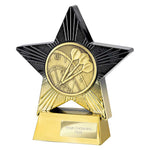 Superstar Darts Award -  PA25045