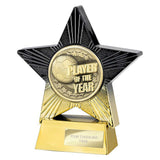 Superstar Player of Year Award -  PA25057