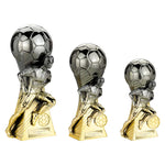 Trailblazer Football Heavyweight Male - Gold|Gunmetal - PA25263