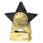 Superstar You're a Hero Award -  PA25365