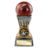 Digital Cricket Award - PA26038