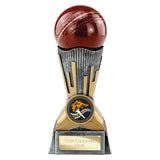 Digital Cricket Award - PA26038