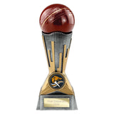 Digital Cricket Award - PA26038