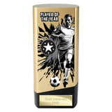 Prime Heavyweight Player of the year - PA26130