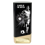 Prime Heavyweight Player of the Match - PK26129