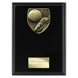 Cobra Plaque Football Boot & Ball Award -  PL24195
