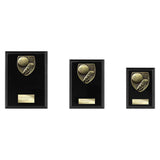 Cobra Plaque Football Boot & Ball Award -  PL24195