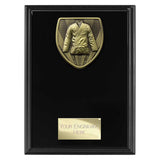 Cobra Plaque Martial Arts Gee Award - Black - PL24201