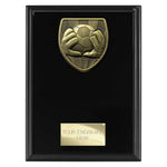 Cobra Plaque Football Goal Keeper Award - Black - PL24202