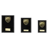 Cobra Plaque Football Goal Keeper Award - Black - PL24202