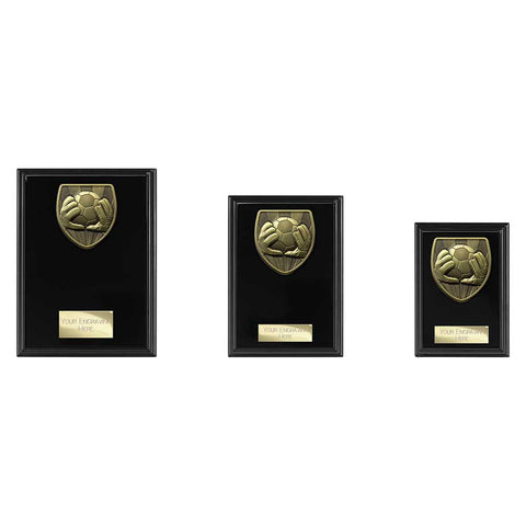 Cobra Plaque Football Goal Keeper Award - Black - PL24202
