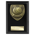 Cobra Plaque Lawn Bowls Award -  PL24203