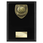 Cobra Plaque Lawn Bowls Award -  PL24203