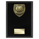 Cobra Plaque Lawn Bowls Award -  PL24203