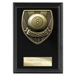 Cobra Plaque Pool Award -  PL24204