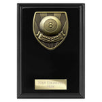 Cobra Plaque Pool Award -  PL24204