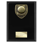 Cobra Plaque Pool Award -  PL24204