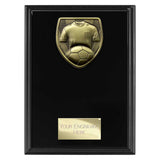 Cobra Plaque Football Shirt & Ball Award -  PL24206