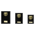 Cobra Plaque Football Shirt & Ball Award - Black - PL24206