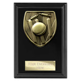 Cobra Plaque Cricket Award - Black - PL24209