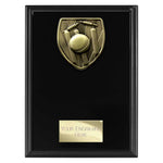 Cobra Plaque Cricket Award - Black - PL24209
