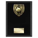 Cobra Plaque Cricket Award - Black - PL24209