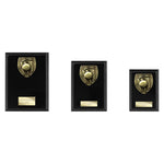 Cobra Plaque Cricket Award - Black - PL24209