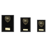Cobra Plaque Golf Award - PL24210