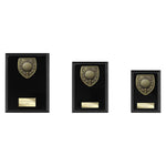 Cobra Plaque Golf Nearest the Pin Award - Black - PL24211