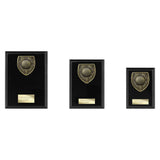 Cobra Plaque Golf Longest Drive Award -  PL24212