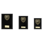 Cobra Plaque Golf Longest Drive Award - Black - PL24212