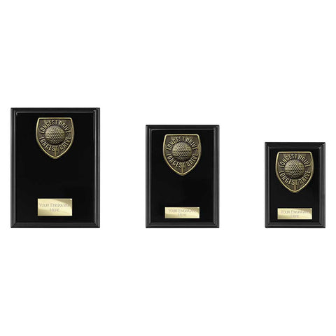 Cobra Plaque Golf Longest Drive Award - Black - PL24212