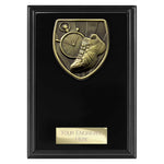 Cobra Plaque Running Award -  PL24216