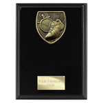 Cobra Plaque Running Award -  PL24216