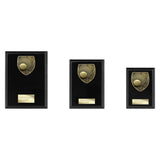 Cobra Plaque Tennis Award -  PL24222