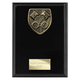 Cobra Plaque Motorsport Piston Award -  PL24224
