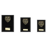 Cobra Plaque Motorsport Piston Award -  PL24224