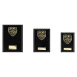 Cobra Plaque Motorsport Piston Award - Black - PL24224