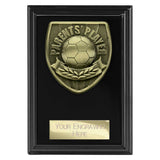 Cobra Plaque Parents Player Award -  PL25108