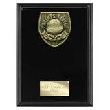 Cobra Plaque Parents Player Award -  PL25108