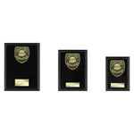 Cobra Plaque Parents Player Award -  PL25108
