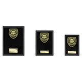 Cobra Plaque Parents Player Award -  PL25108