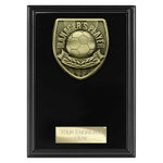 Cobra Plaque Managers Player Award - Black - PL25109